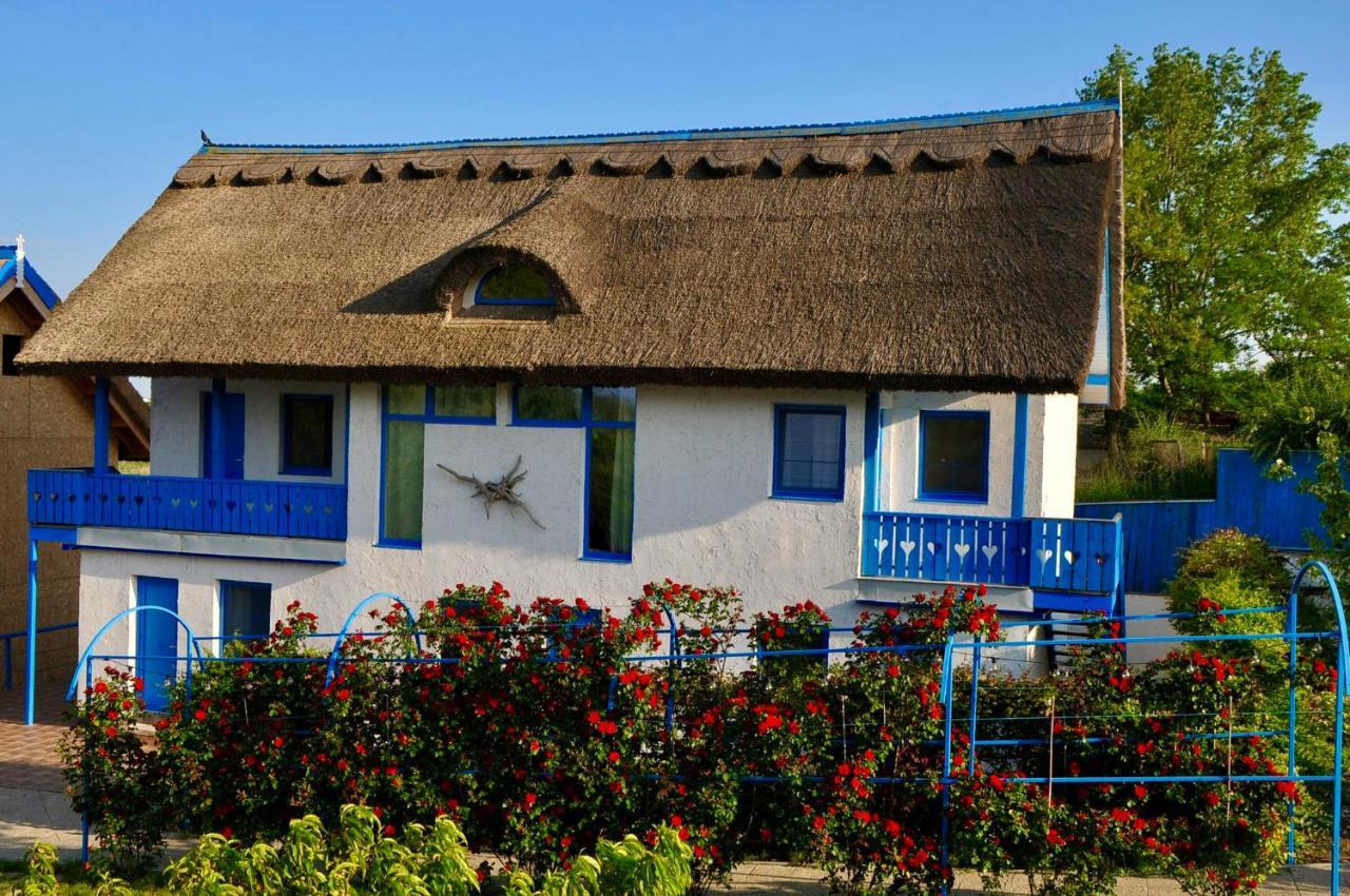 Nena Art Resort Dunavatu de Jos Exterior photo