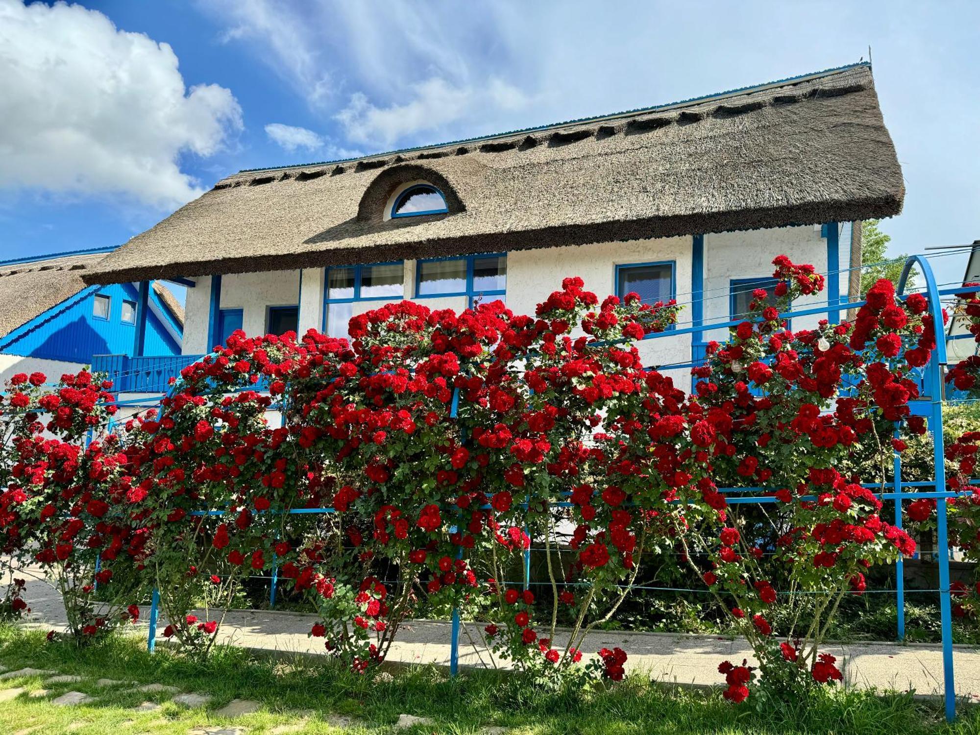 Nena Art Resort Dunavatu de Jos Exterior photo